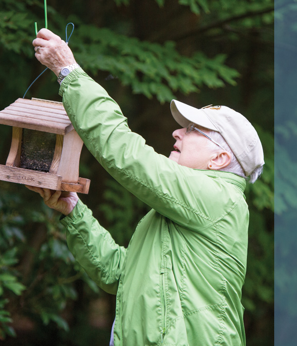A senior man hanging a bird feeder